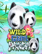 สนุกสนานกับโปรฝาก 100 รับ 100pg แจกหนักทุกวัน